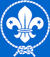 blue-wosmlogo